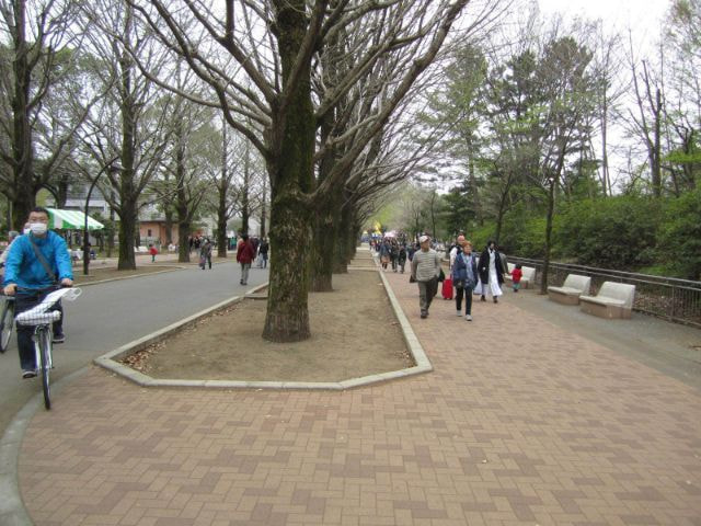 img_9267.jpg